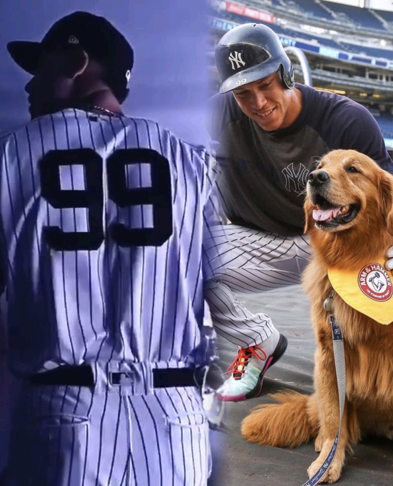 Aaron Judge Quotes