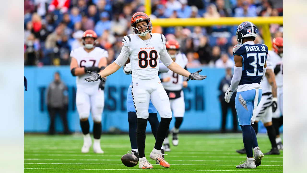 Cincinnati Bengals Re-Signed Tight End Mike Gesicki