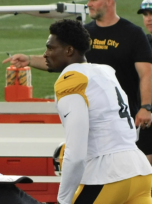 NFL Announced Two-Game Suspension For Steelers' DK Metcalf's Fan Interaction